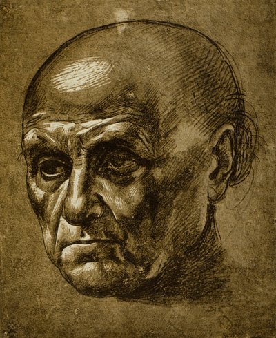 Study of a male face by Leonardo da Vinci